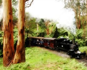 Puffing Billy Steam Railway - Lismore Accommodation 5