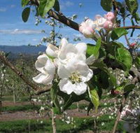 Mouat's Farm - Lismore Accommodation