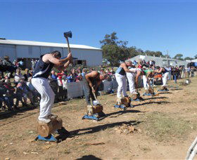 Quirindi Rural Heritage Village - Lismore Accommodation 1