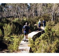 Hume and Hovell Walking Track - Henry Angel Trackhead - Lismore Accommodation
