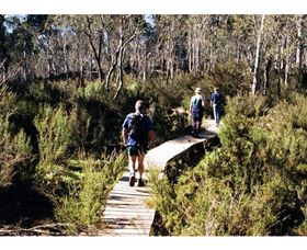 Hume And Hovell Walking Track - Henry Angel Trackhead - Lismore Accommodation 0