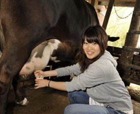 Warrook Farm - Lismore Accommodation 2