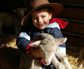 Warrook Farm - Lismore Accommodation 1