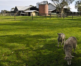 Warrook Farm - Lismore Accommodation 4