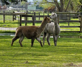 Warrook Farm - Lismore Accommodation 6