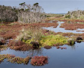 French Island National Park - Lismore Accommodation 0