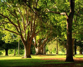 Queens Park, Toowoomba - Lismore Accommodation 1