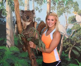 Maru Koala And Animal Park - Lismore Accommodation 0