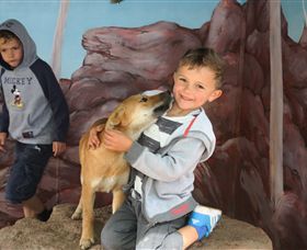 Maru Koala And Animal Park - Lismore Accommodation 3