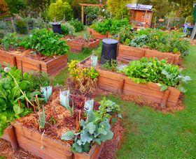 Ungulla Country Garden - Lismore Accommodation 4