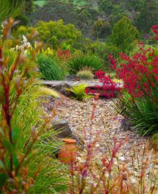 Ungulla Country Garden - Lismore Accommodation 1