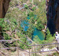 Carlotta Arch walking track - Lismore Accommodation