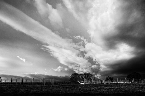 Clonakilla Wines - Lismore Accommodation 5