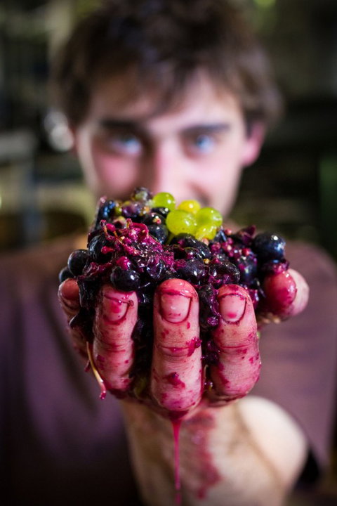 Clonakilla Wines - Lismore Accommodation 6