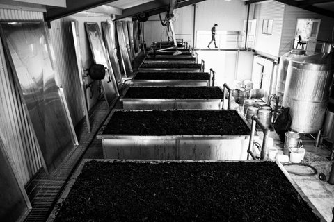 Clonakilla Wines - Lismore Accommodation 9