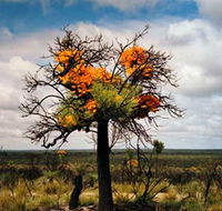 The Delmar Gallery - Lismore Accommodation