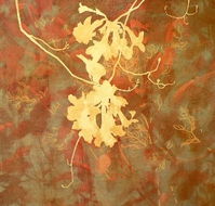 Fellia Melas Gallery - Lismore Accommodation