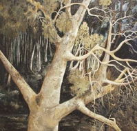 Ku-Ring-Gai Art Centre  Gallery - Lismore Accommodation