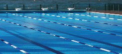 Andrew Boy Charlton Pool - Lismore Accommodation 1