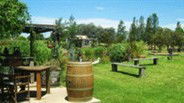 Gone Walkabout Safaris - Lismore Accommodation 2