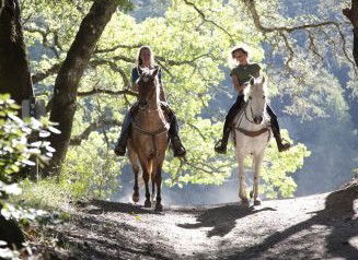Hunter Valley Horse Riding And Adventures - Lismore Accommodation 1
