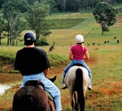 Hunter Valley Horse Riding And Adventures - Lismore Accommodation 3