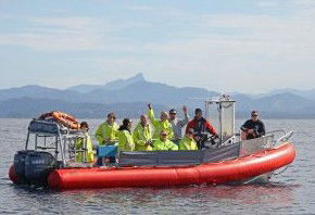 Byron Bay Whale Watching - Lismore Accommodation 2