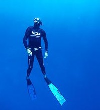 Byron Bay Dive Centre - Lismore Accommodation 1