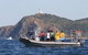 Byron Bay Dolphin Wildlife Tours - thumb 1