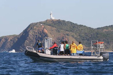 Byron Bay Dolphin Wildlife Tours - Lismore Accommodation 1