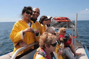 Byron Bay Dolphin Wildlife Tours - Lismore Accommodation 2