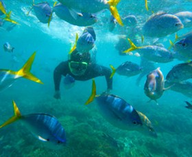 G Adventures - Lismore Accommodation 0