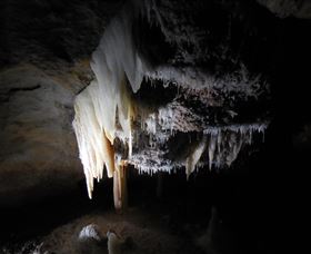 Country Charmâ„¢ Discovery Tours - Lismore Accommodation 1
