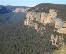 Country Charmâ„¢ Discovery Tours - Lismore Accommodation 4