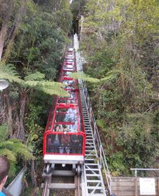 Country Charmâ„¢ Discovery Tours - Lismore Accommodation 6