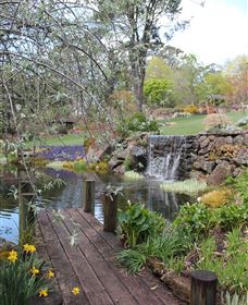TCP Day Tours - Lismore Accommodation 4