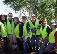 Conservation Volunteers Australia - Sydney - Lismore Accommodation