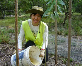 Conservation Volunteers Australia - Sydney - Lismore Accommodation 1