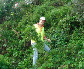 Conservation Volunteers Australia - Sydney - Lismore Accommodation 2
