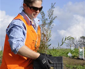 Conservation Volunteers Australia - Sydney - Lismore Accommodation 3