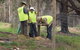 Conservation Volunteers Australia - Sydney - thumb 4