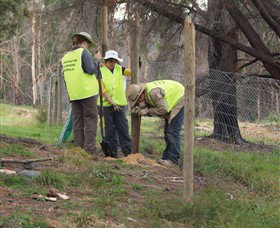 Conservation Volunteers Australia - Sydney - Lismore Accommodation 4