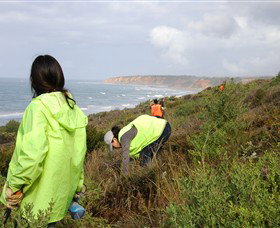 Conservation Volunteers Australia - Sydney - Lismore Accommodation 5