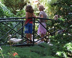 EG Waterhouse National Camellia Garden - Lismore Accommodation 0