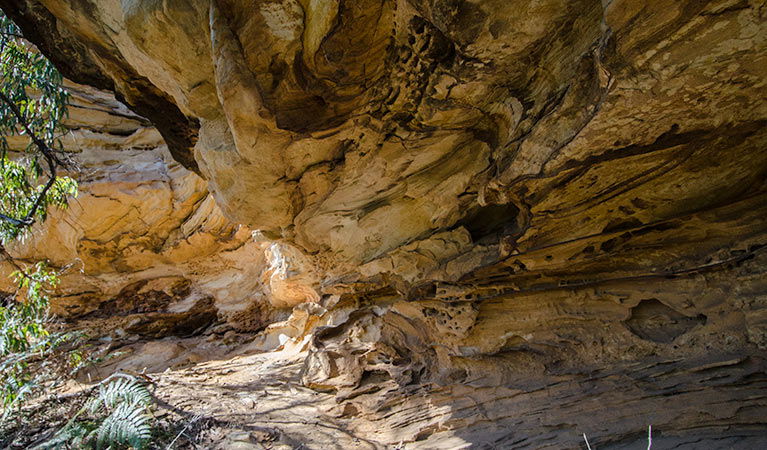 Canoelands NSW Lismore Accommodation