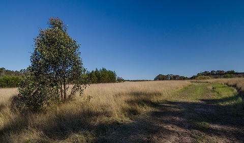 Scheyville Horse Riding Trails - Lismore Accommodation 0