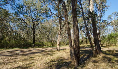 Scheyville Horse Riding Trails - Lismore Accommodation 1