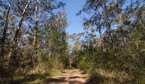 Scheyville Horse Riding Trails - Lismore Accommodation 3