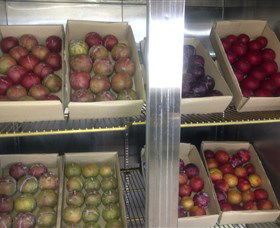 Canoelands Orchard - Lismore Accommodation 1