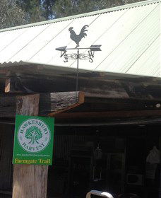 Canoelands Orchard - Lismore Accommodation 3